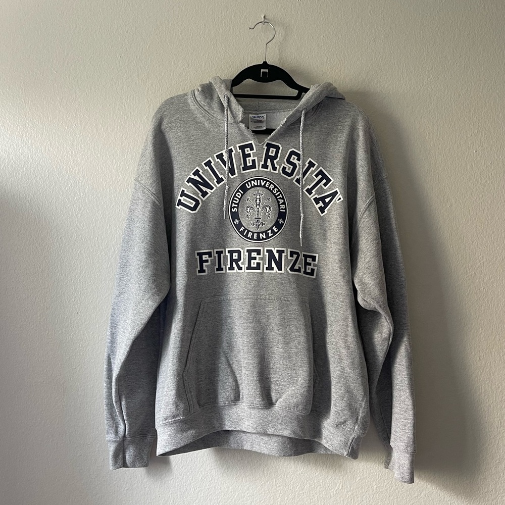 Vintage Gildan Grey University of Firenze Hoodie Sweatshirt